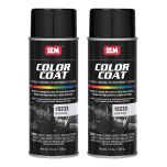 Color Coat Gloss Black 12 oz. (2/Pack)