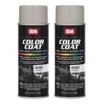 Color Coat Light Titanium 12 oz (2/Pack)