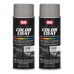 Color Coat Medium Gray 12 oz. (2/Pack)