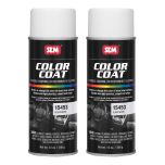 Color Coat Gloss White 12 oz (2/Pack)