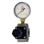 RTi RG30 Regulator and Gauge Assembly 3/8 in