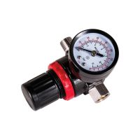 AES Industries 875 Mini Diaphragm 1/4 in. 180 psi Air Regulator with Gauge