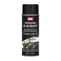 EZ Coat Black (12 oz.)