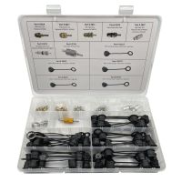 FJC 2664 R-1234YF Valve Core Service Port and Cap Assortment