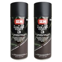 SEM 85023 Color Coat 3 Cordovan Brown Flexible Coating 12 oz. (2 Pack)