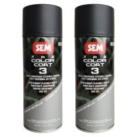 SEM 85253 Color Coat 3 Titanium Metallic Flexible Coating 12 oz. (2 Pack)