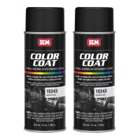 Color Coat Satin Black 12 oz. (2/Pack)