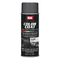 Color Coat Graphite (12 oz.)
