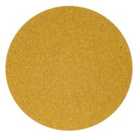 Gold Reserve A296 Series NorGrip Sanding Disc 8 in P40 Grit