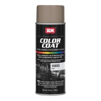 Color Coat Ivory (12 oz)