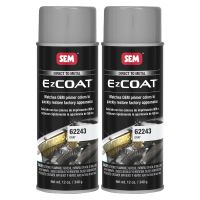 EZ Coat Gray 12 oz. (2/Pack)