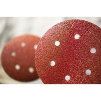 Mirka Coarse Cut 40631036 Grip-On 8 in. 36 Grit Sanding Disc (25 ct)