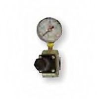 RTi RG40 1/2 in. Regulator and Gauge Assembly